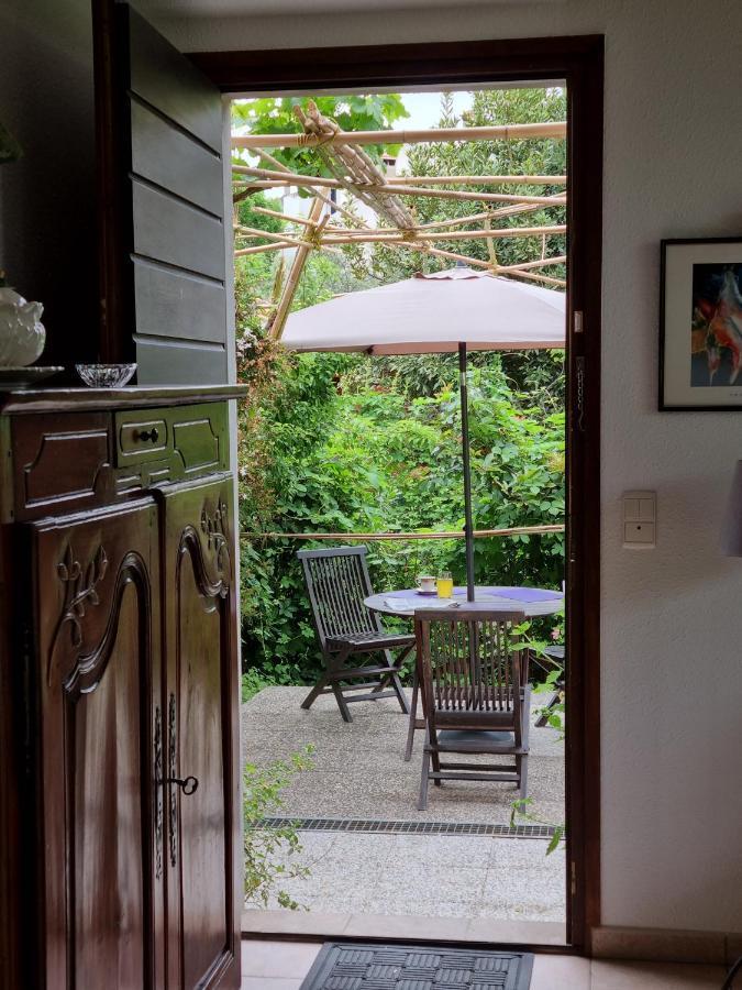 Villa El Correc Laroque-des-Alberes Bagian luar foto