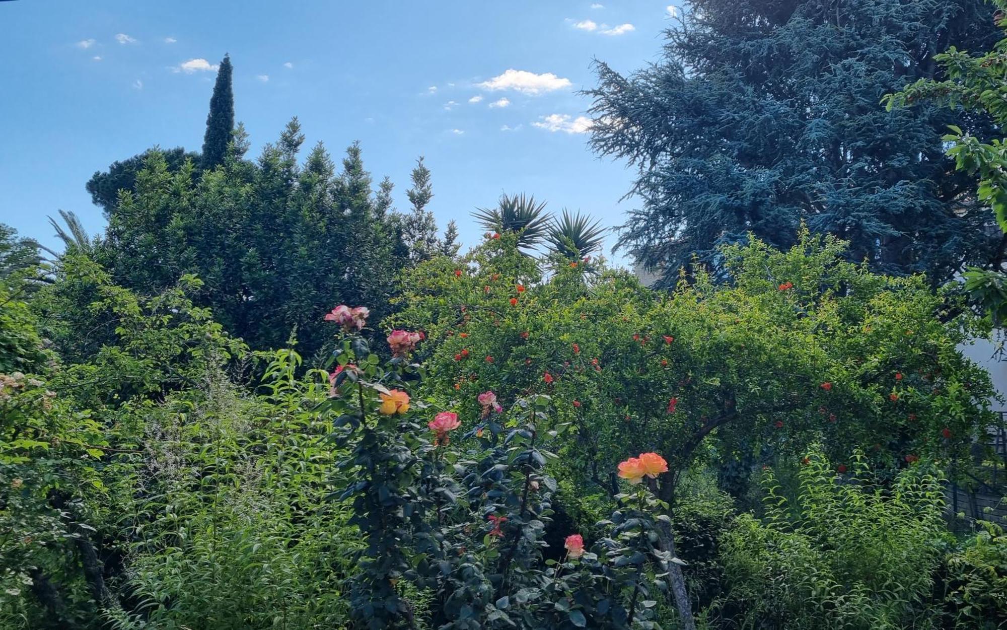 Villa El Correc Laroque-des-Alberes Bagian luar foto
